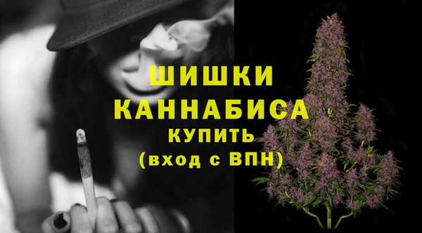 крисы Липки