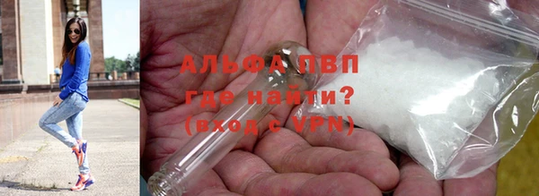 крисы Липки