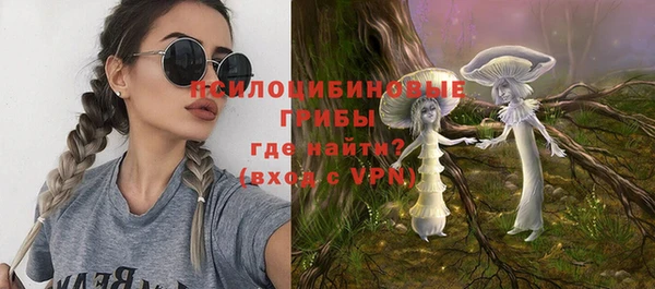 крисы Липки