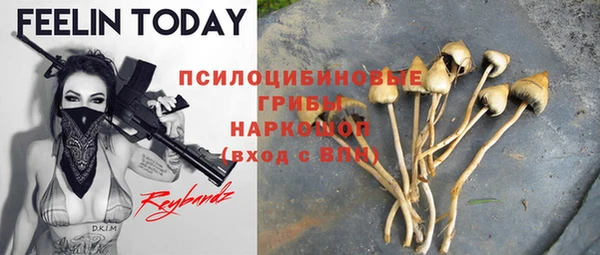 крисы Липки