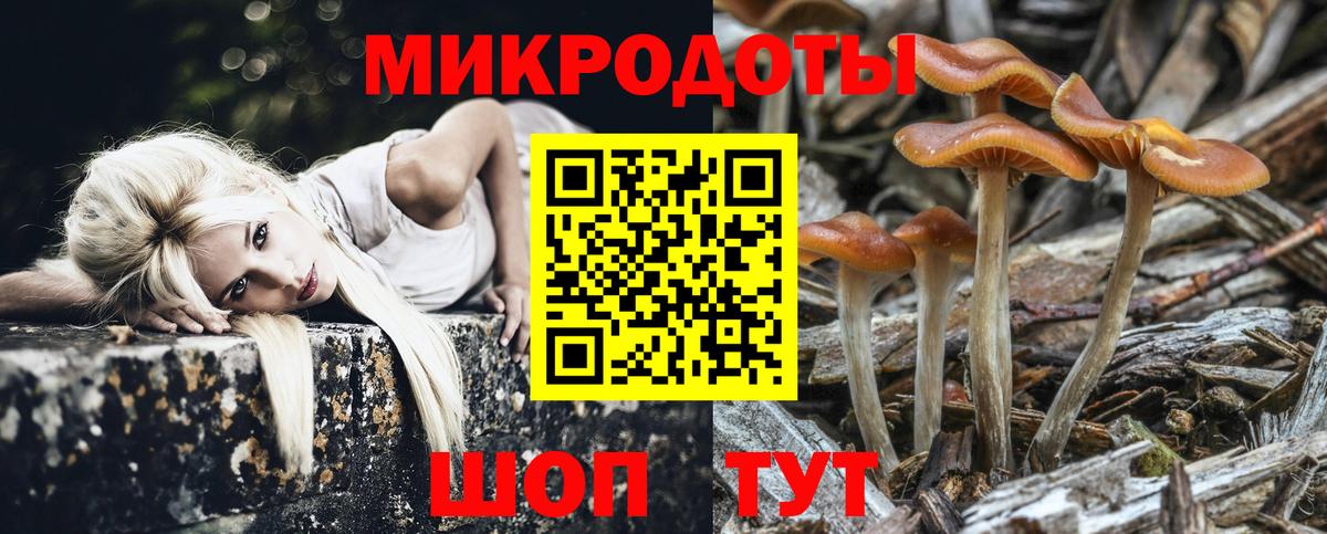 Псилоцибиновые грибы мицелий  Вход с VPN  Липецк 