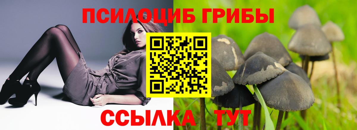 Псилоцибиновые грибы MAGIC MUSHROOMS Липецк